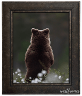 Marcello Rustic Distressed Dark Charcoal Brown Wall Picture Frame - West Frames
